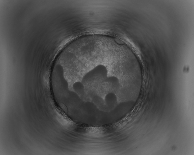 X0000100330107200806191118