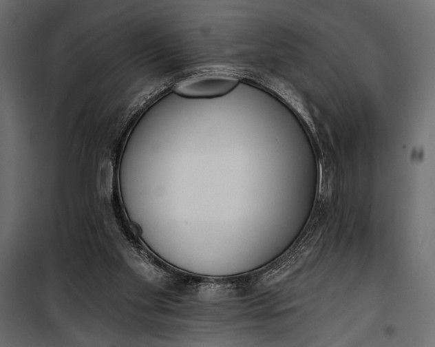 X0000100330109200806191117