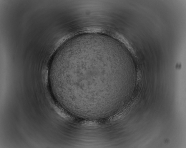 X0000100330110200806191117