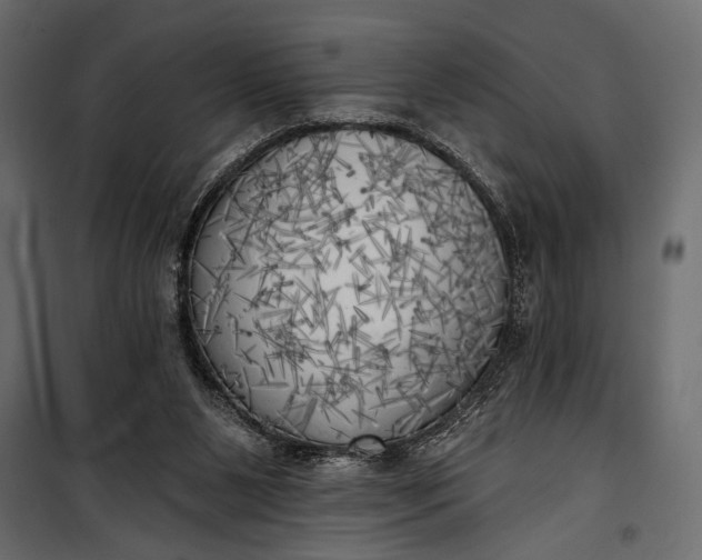 X0000100330111200806191117