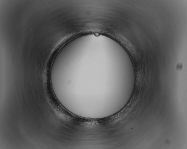 X0000100330112200806191117