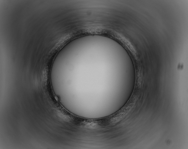 X0000100330113200806191117