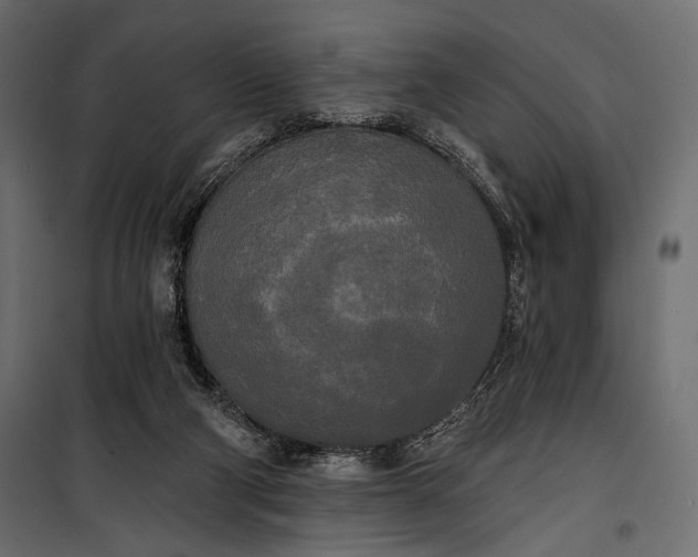 X0000100330114200806191117