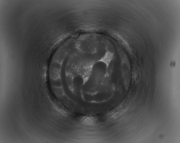 X0000100330115200806191117