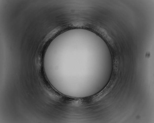 X0000100330116200806191117