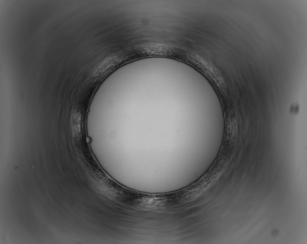 X0000100330117200806191117