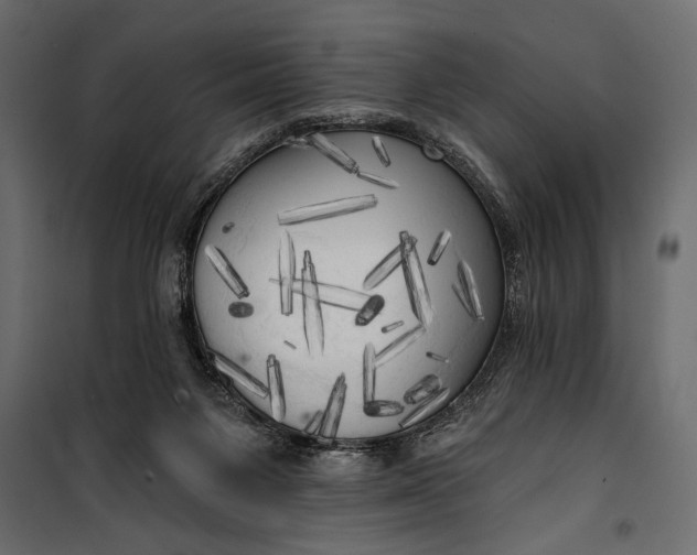 X0000100330119200806191117