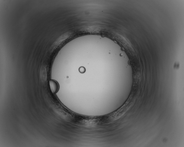 X0000100330120200806191117