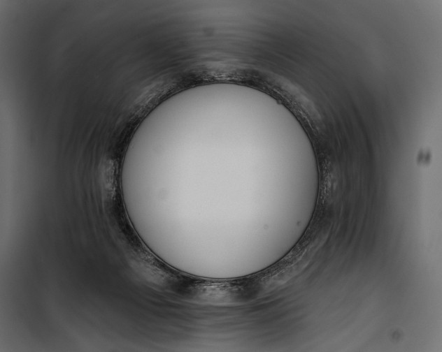 X0000100330121200806191117