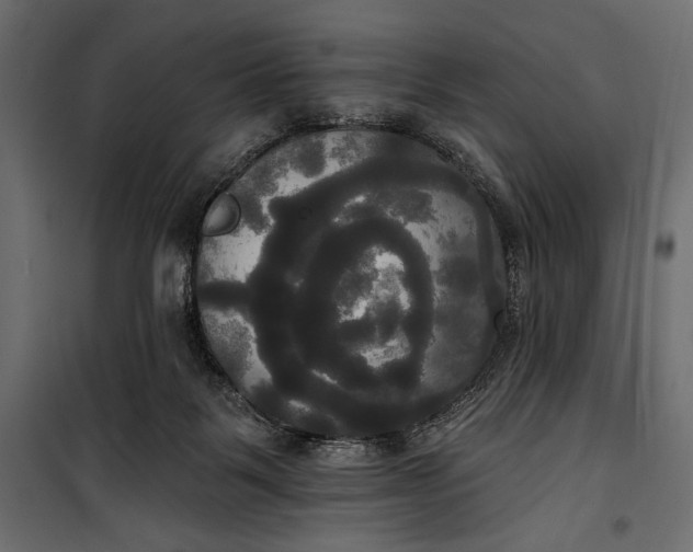 X0000100330123200806191117