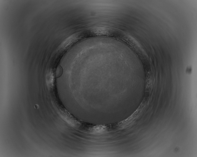 X0000100330124200806191117