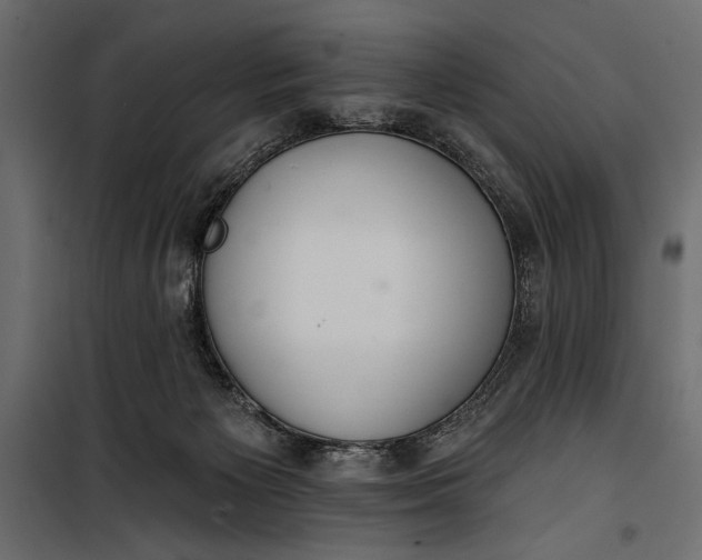 X0000100330125200806191117