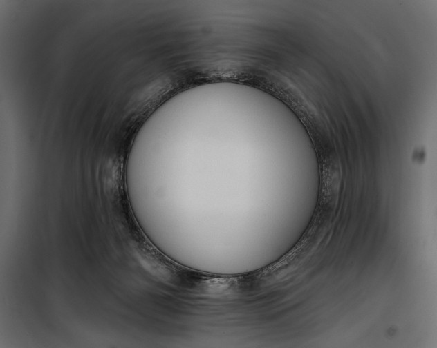 X0000100330126200806191117