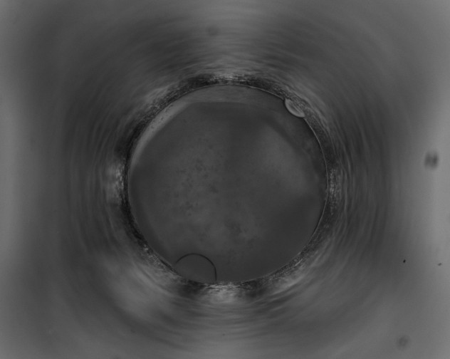 X0000100330127200806191117