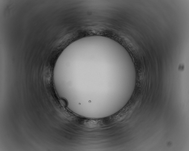 X0000100330129200806191117