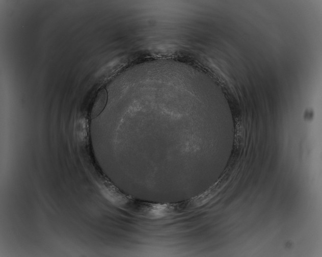 X0000100330130200806191117