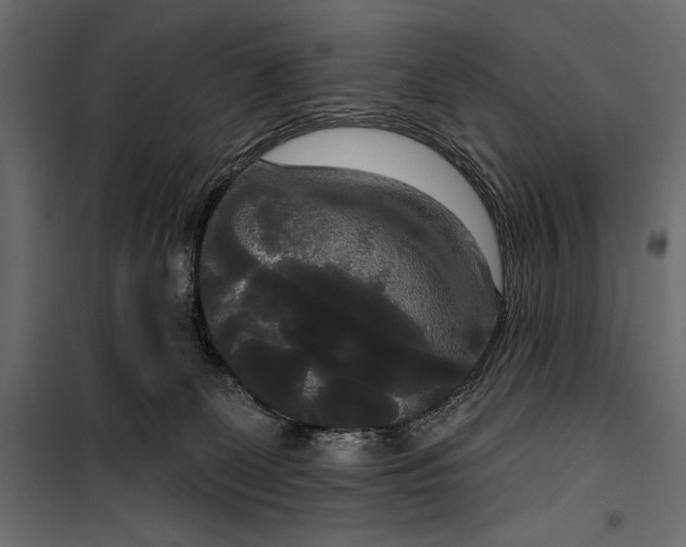 X0000100330131200806191117