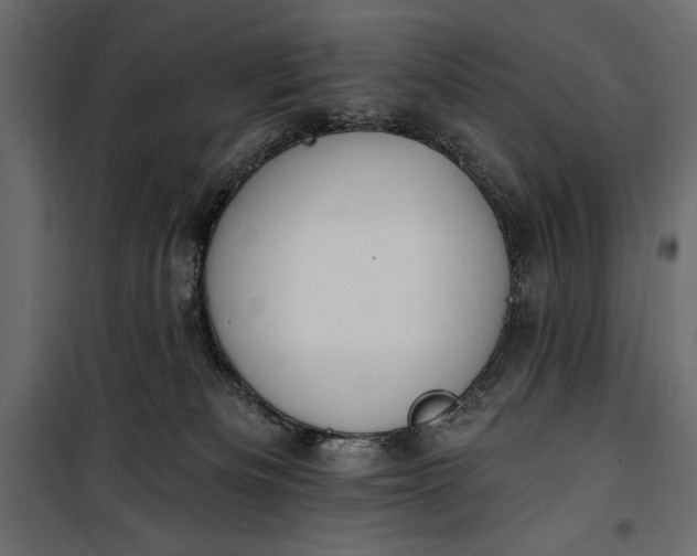 X0000100330133200806191117