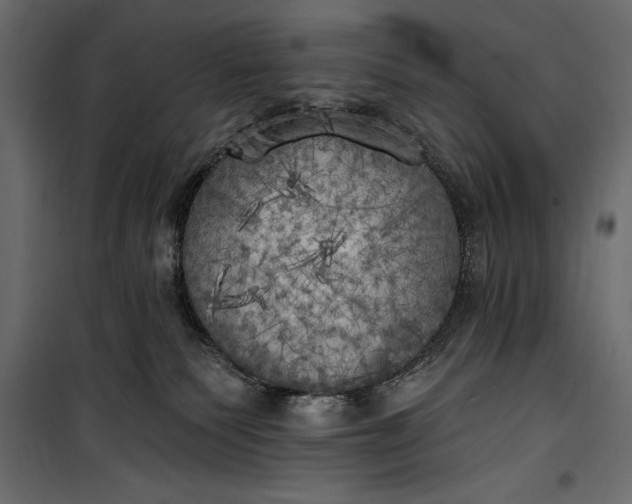 X0000100330135200806191117