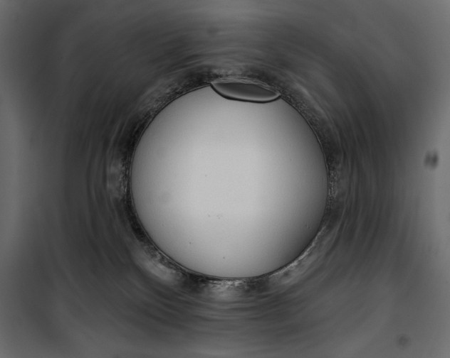 X0000100330136200806191117