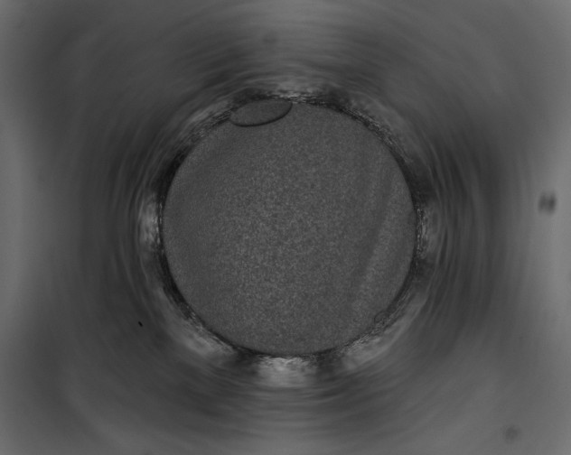 X0000100330137200806191117