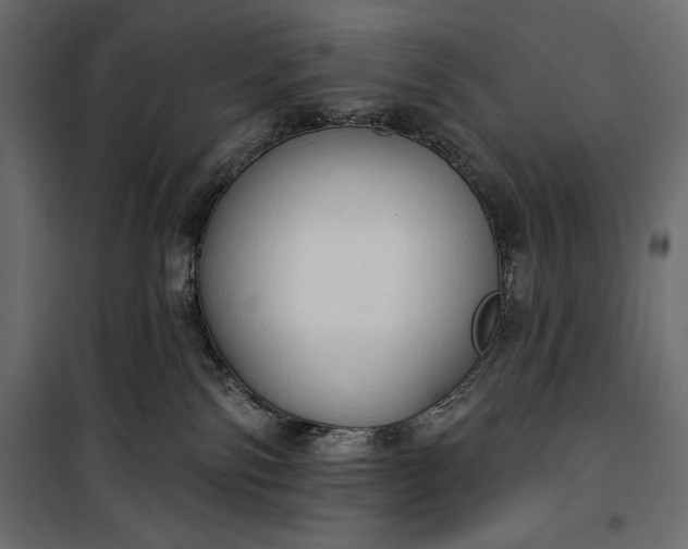 X0000100330138200806191117