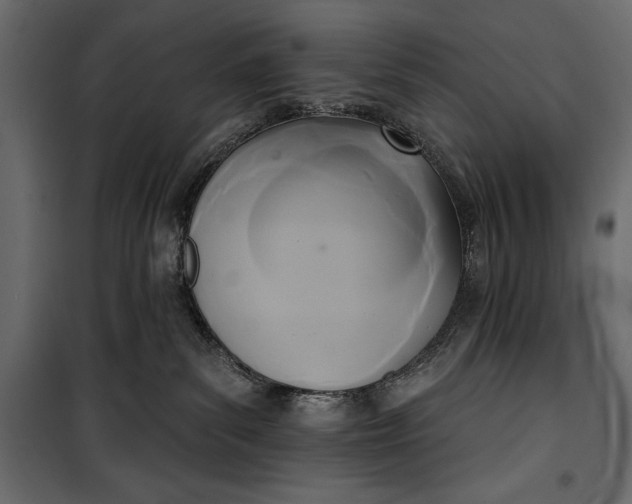 X0000100330139200806191117