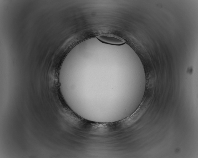 X0000100330140200806191117