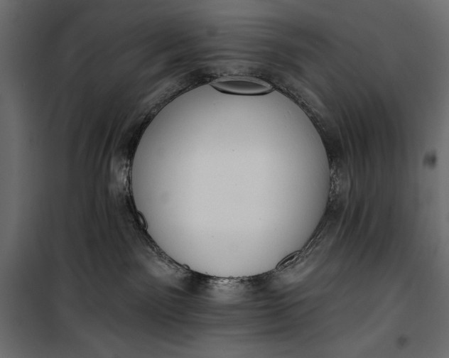 X0000100330141200806191117