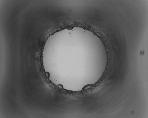 X0000100330144200806191117