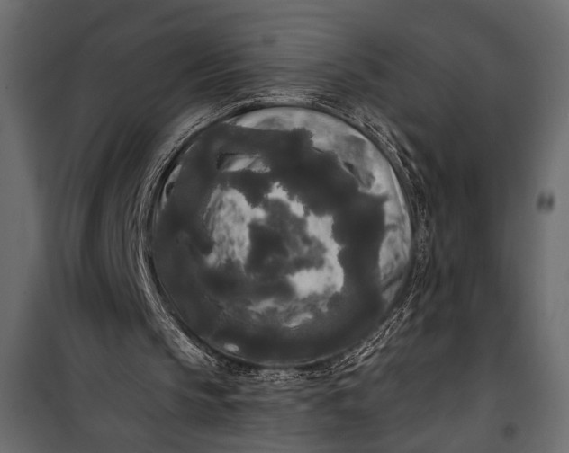 X0000100330145200806191116