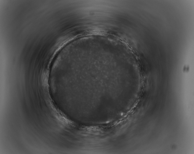 X0000100330146200806191116