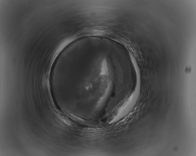 X0000100330147200806191116