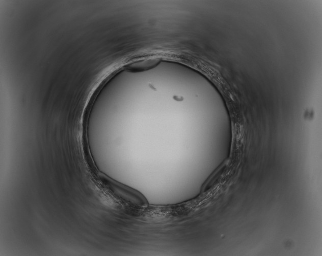 X0000100330148200806191116