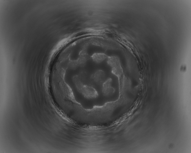 X0000100330149200806191116