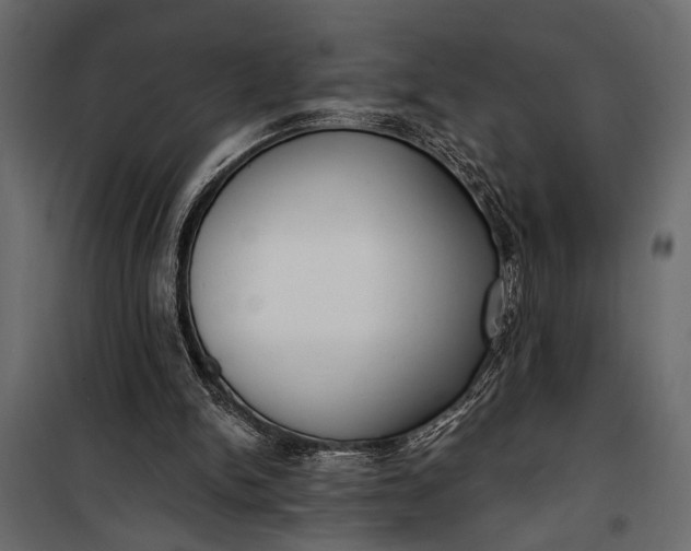 X0000100330150200806191116