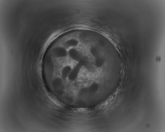 X0000100330151200806191116