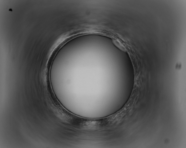 X0000100330152200806191116