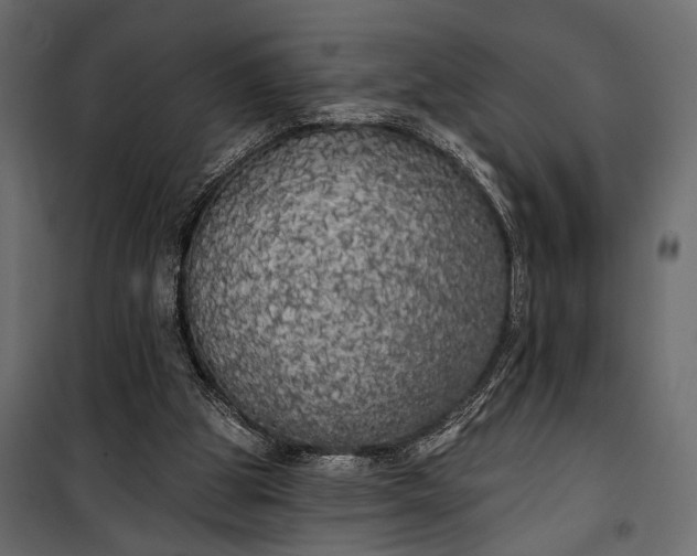 X0000100330153200806191116