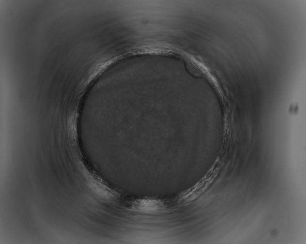 X0000100330154200806191116