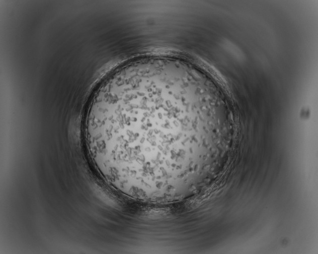 X0000100330155200806191116