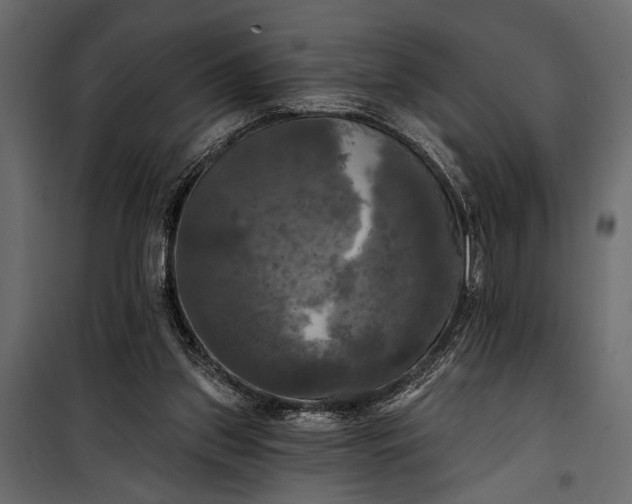 X0000100330157200806191116