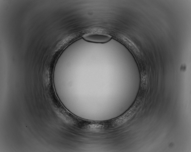 X0000100330158200806191116