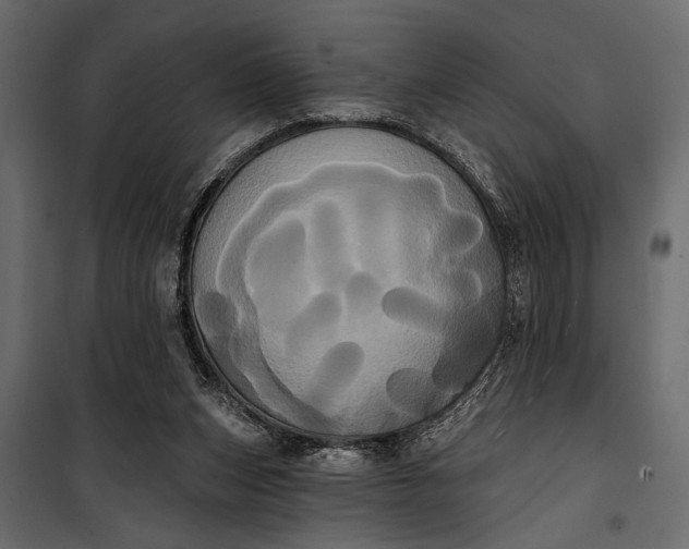 X0000100330159200806191116