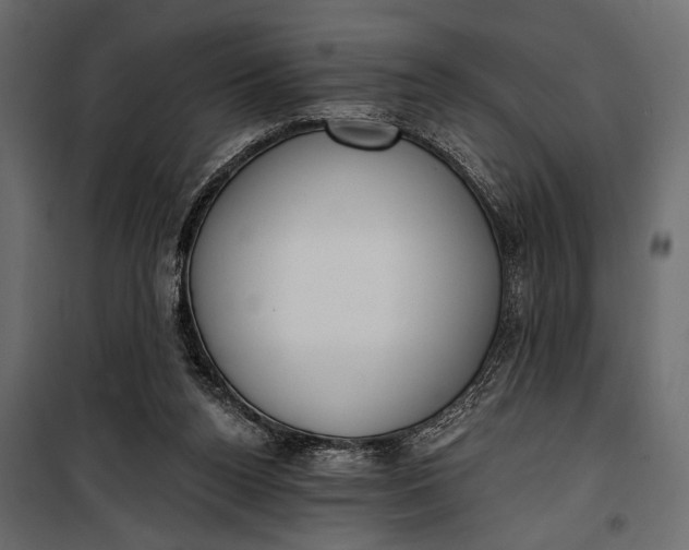 X0000100330160200806191116