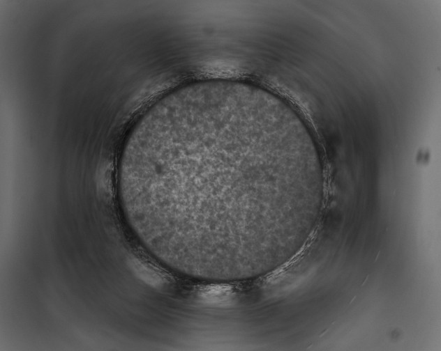 X0000100330162200806191116