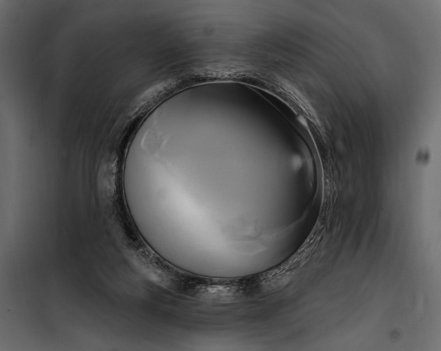 X0000100330163200806191116