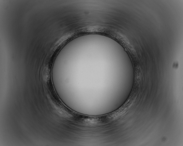 X0000100330164200806191116