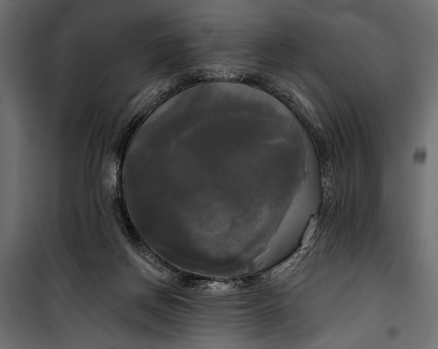 X0000100330166200806191116