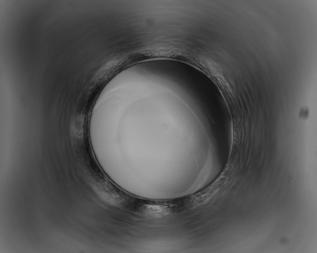 X0000100330167200806191116